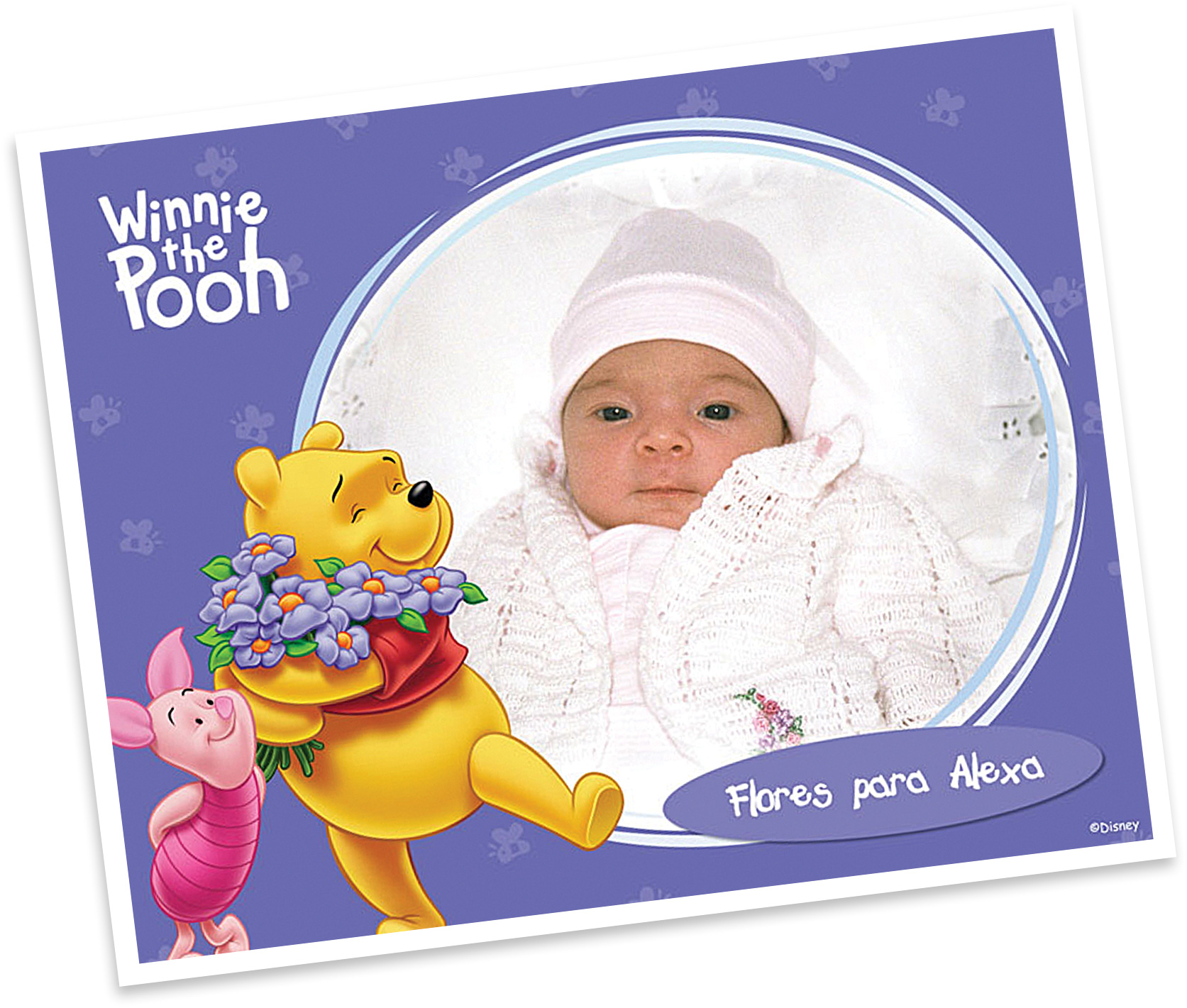 winnie-the-pooh